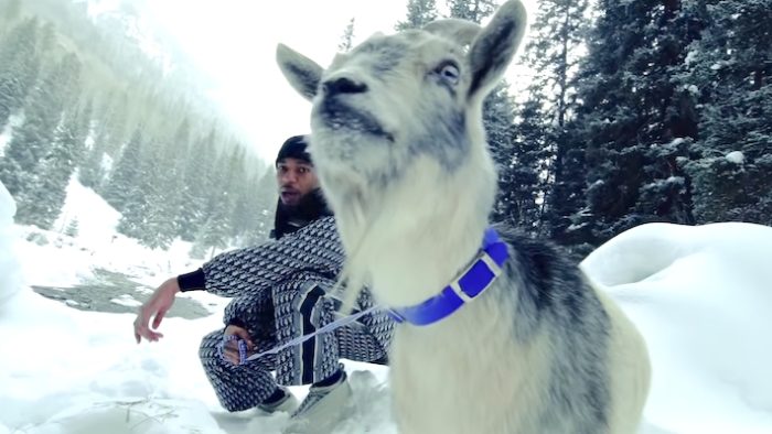 Key Glock Walks A Goat In His ‘Painkillers’ Video To Announce The Deluxe Edition Of ‘Yellow Tape 2’