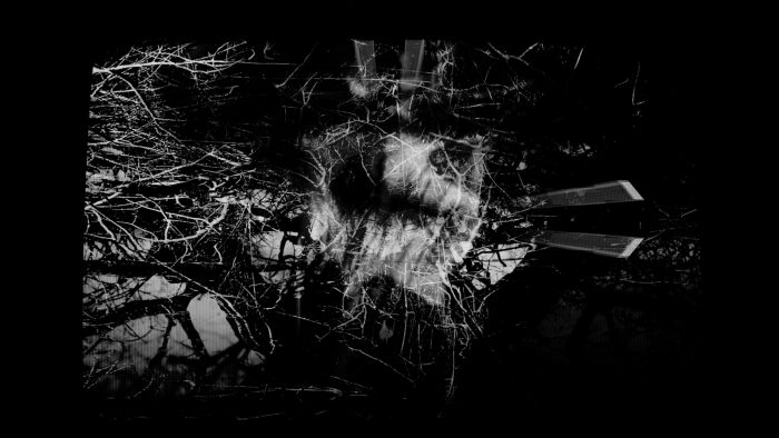 Experimental filmmaker embryoroom presents Escape From Coney Island