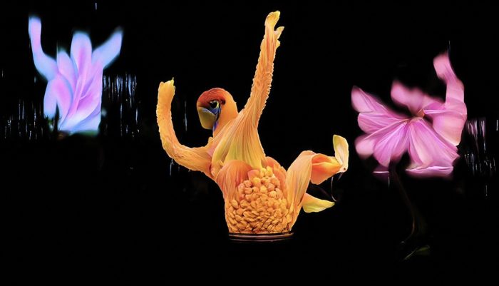 HAAi's Baby, We're Ascending video combines choreography and AI