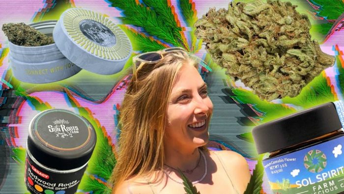 The Best Weed Strains We Smoked At Northern Nights Festival (And Where To Find Them)