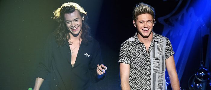 Niall Horan And Harry Styles Might Be Giving Fans A (Partial) One Direction Reunion With A Viral Theory
