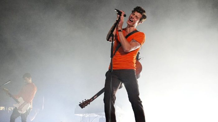 Shawn Mendes’ New Single ‘What The Hell Are We Dying For’ Feels All Too Timely