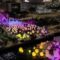 teamLab Installs Hundreds of Interactive Ovoids Across Hong Kong’s Tamar Park