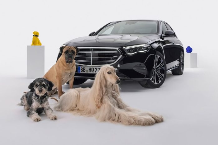 Mercedes-Benz Unveils Innovative MBUX “Bark Assist” for Dogs