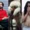 5 New Albums You Need: Alex G, Che, Jim Legxacy, and more