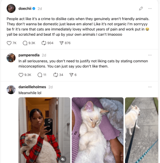 Top Dawg Rapper Doechii Refuses To Apologize For Disliking Cats & Social Media Explodes