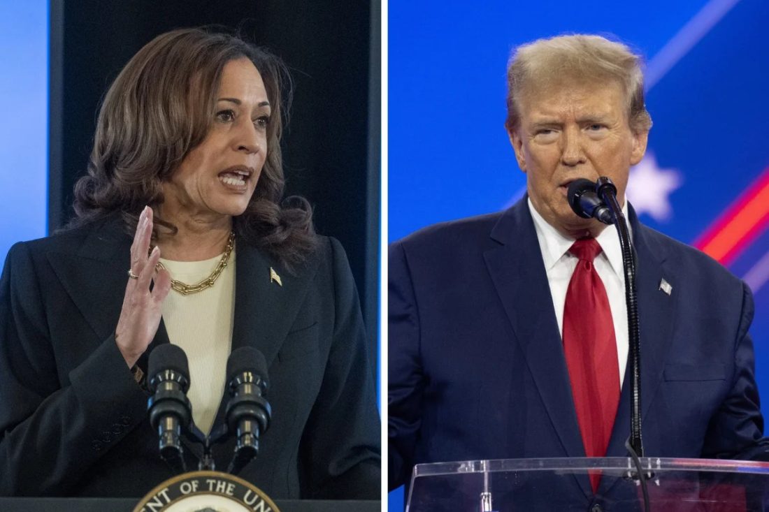 Kamala Harris Demands Democrats Be Ruthless Against Trump Administration
