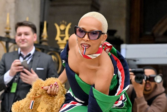 Doja Cat Lashes Out at Elon Musk Over X Feature Removal