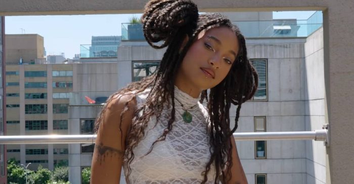 WILLOW’s Lifelong Practice: A Deep Dive into Her Artistic Evolution